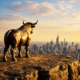 Hump of the week: Im Westen nichts Neues? – Aktienmarkt: Neue Rekorde trotz alter Risiken?
